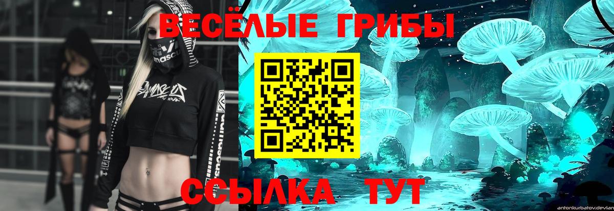 Галлюциногенные грибы GOLDEN TEACHER Нижнекамск