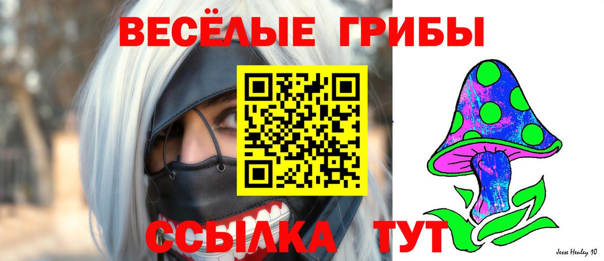 Псилоцибиновые грибы Psilocybe  Вход с VPN  Нижнекамск 